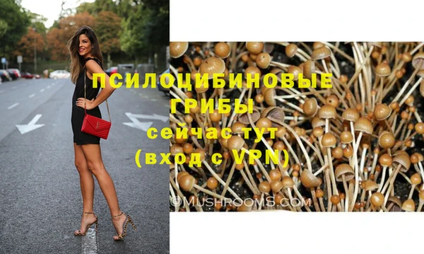 дурь Богданович