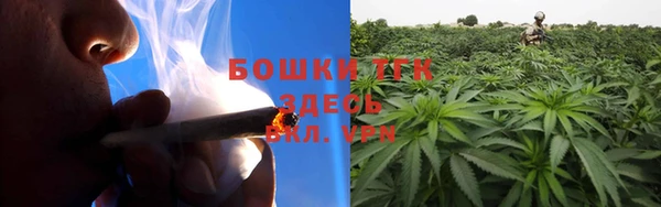 дурь Богданович