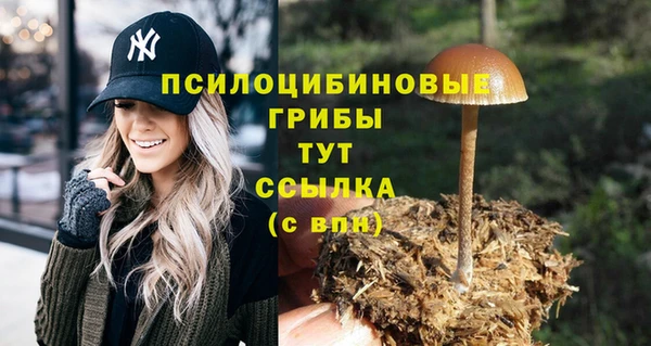 гашиш Богородицк