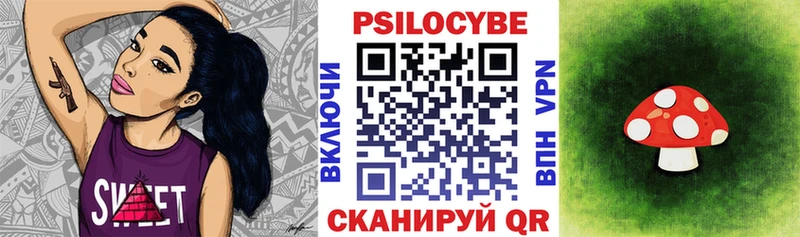 Псилоцибиновые грибы Psilocybe  Купить  Павловск 